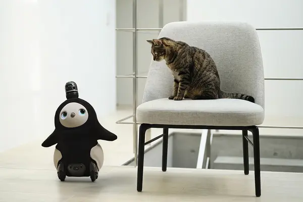 家族やペットとの相性がわかる